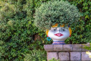 Evergreen in Planter by Nick-Fewings